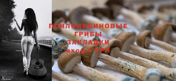 крисы Алзамай