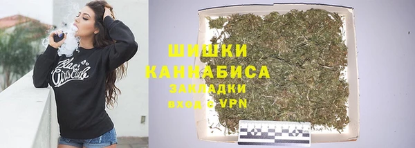 шишки Абаза