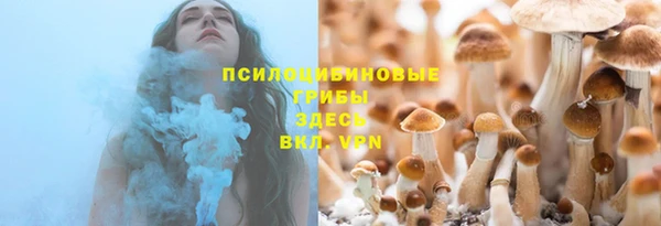 стафф Абинск