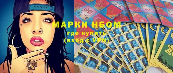гашик Пестово
