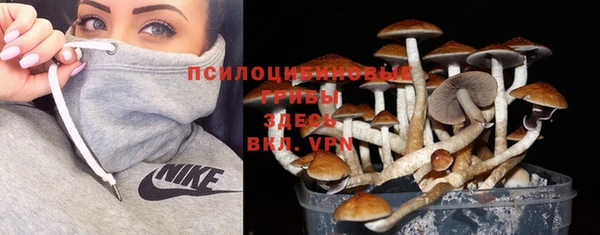 крисы Алзамай