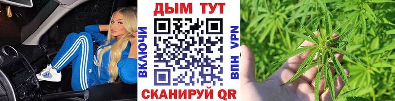Каннабис план  купить наркоту  Звенигород 